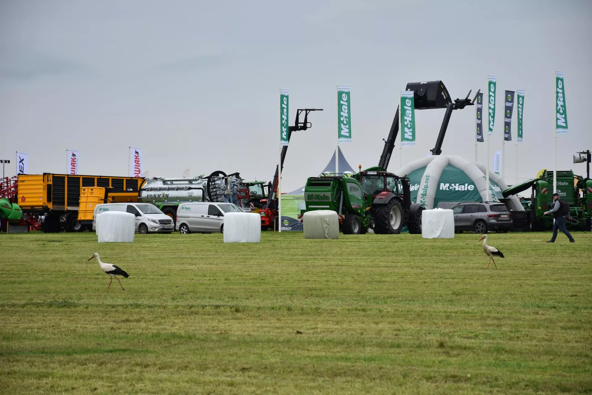 Ułęż pod kosiarką. Prawdziwa gratka dla producentów mleka [ZDJĘCIE TYGODNIA]