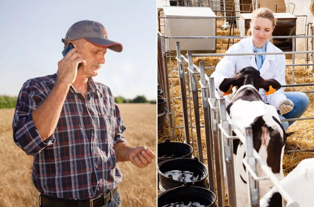 Kontrole ARiMR wstrzymane? Rolnicy boją się o swoje zwierzęta
