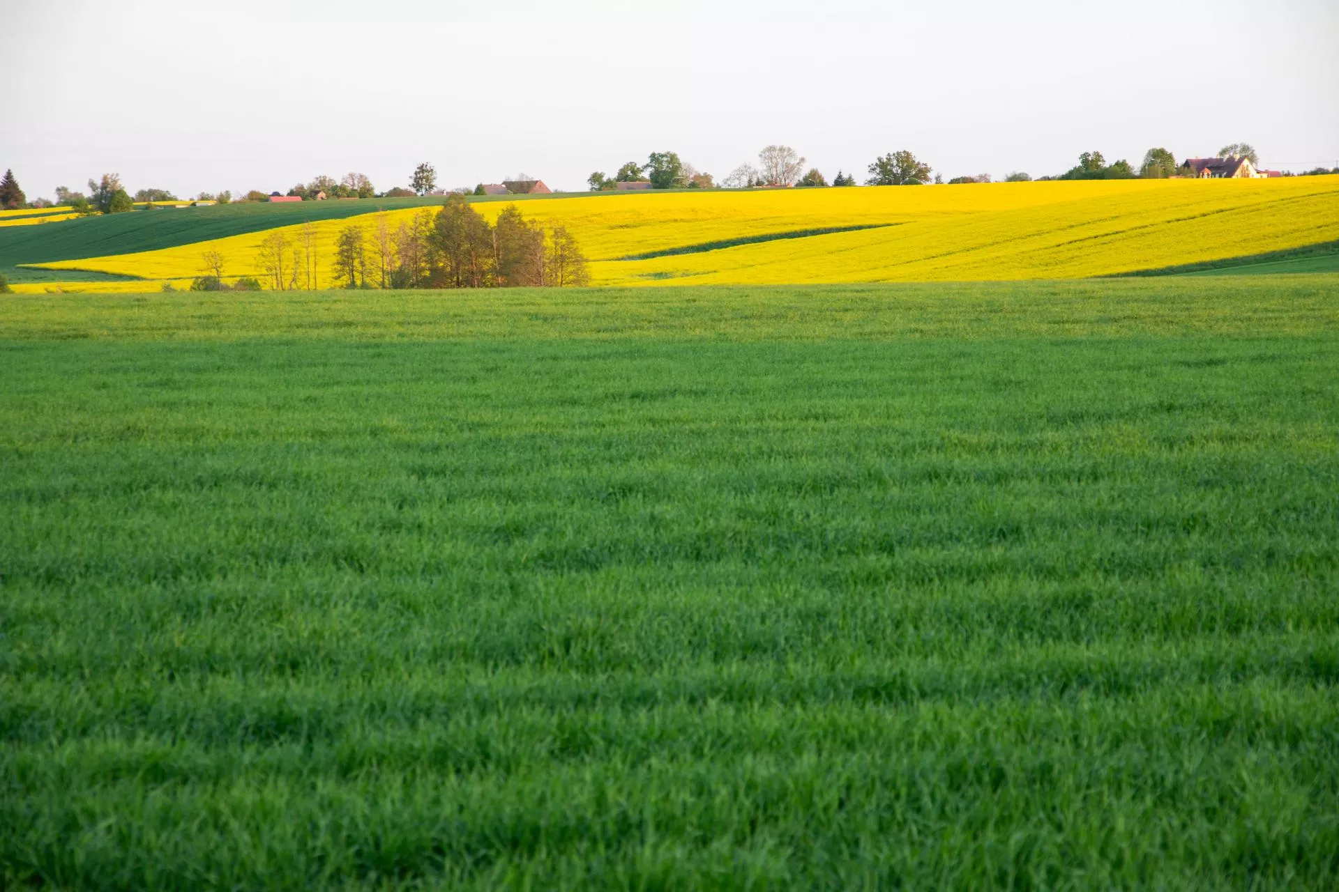 Zagrożenia pogodowe: bardzo istotny czynnik ryzyka
