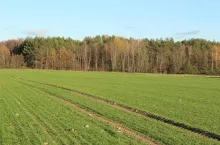 WIOSENNA OCENA STANU UPRAW 2025