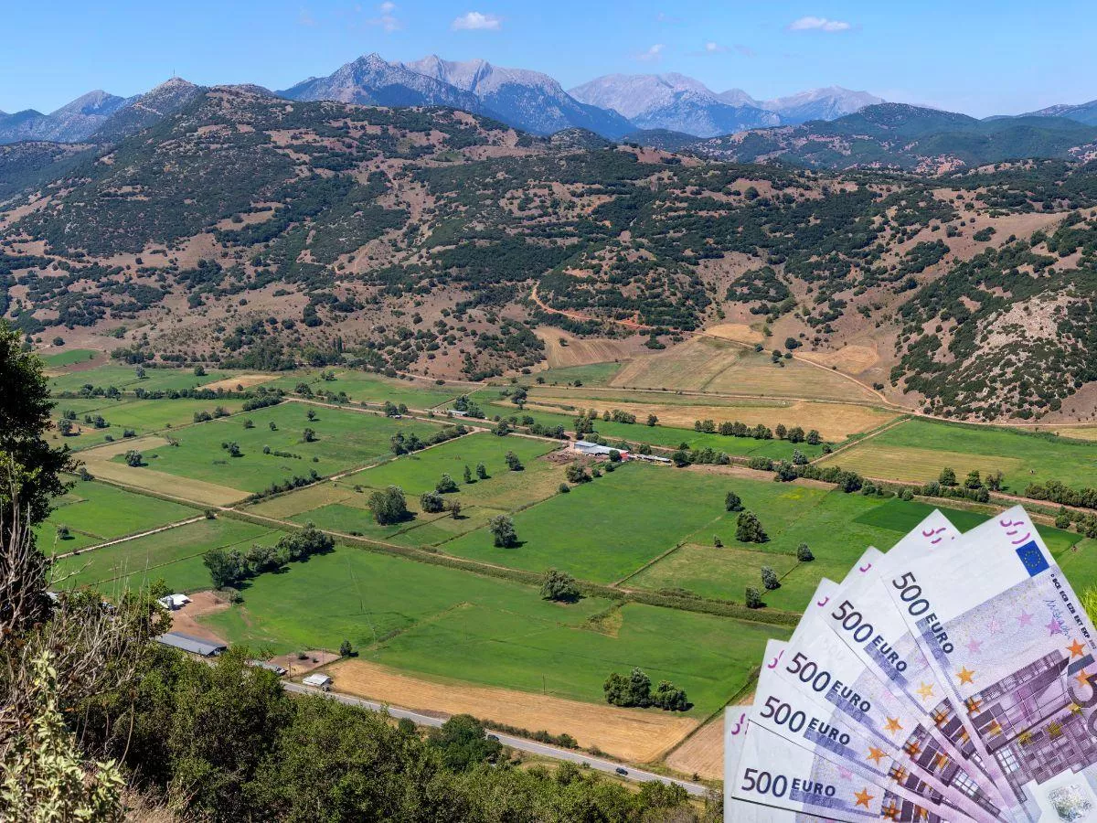 Wielki przekręt na dopłatach dla rolników. Rząd rozwiązał agencję płatniczą