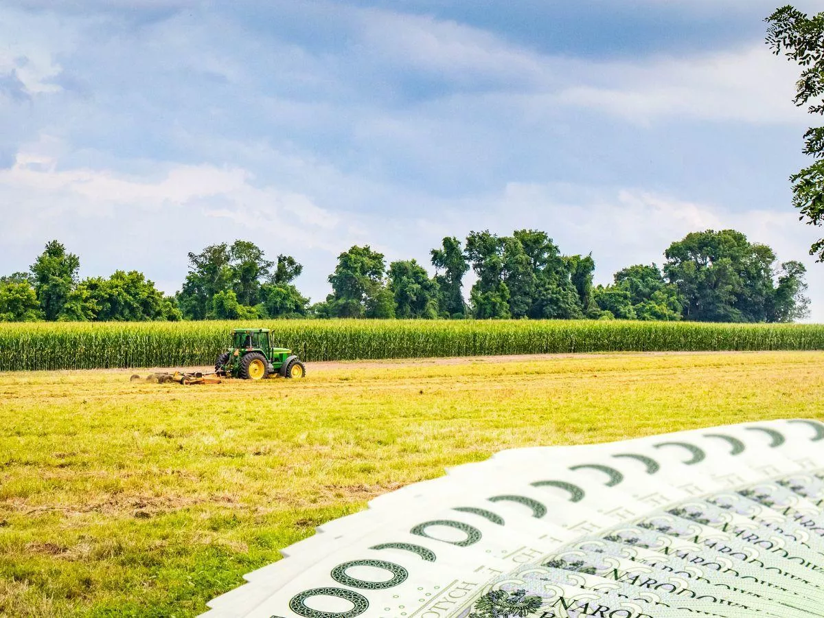 Masz zastrzeżenia do przetargu KOWR? Sprawdź, jak się odwołać