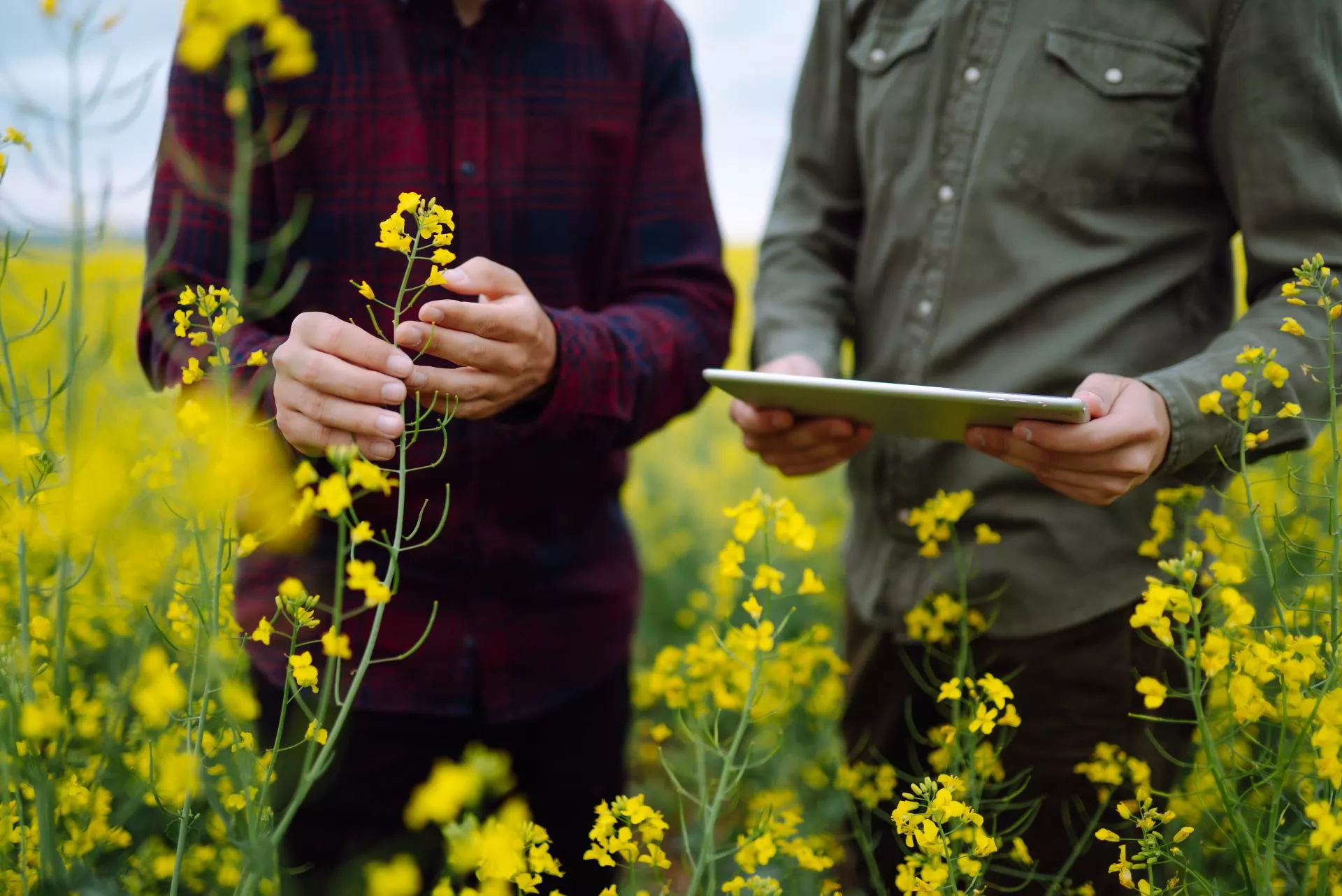 Nawet 5000 zł kary dla rolnika. Wielu zapomina o tym obowiązku