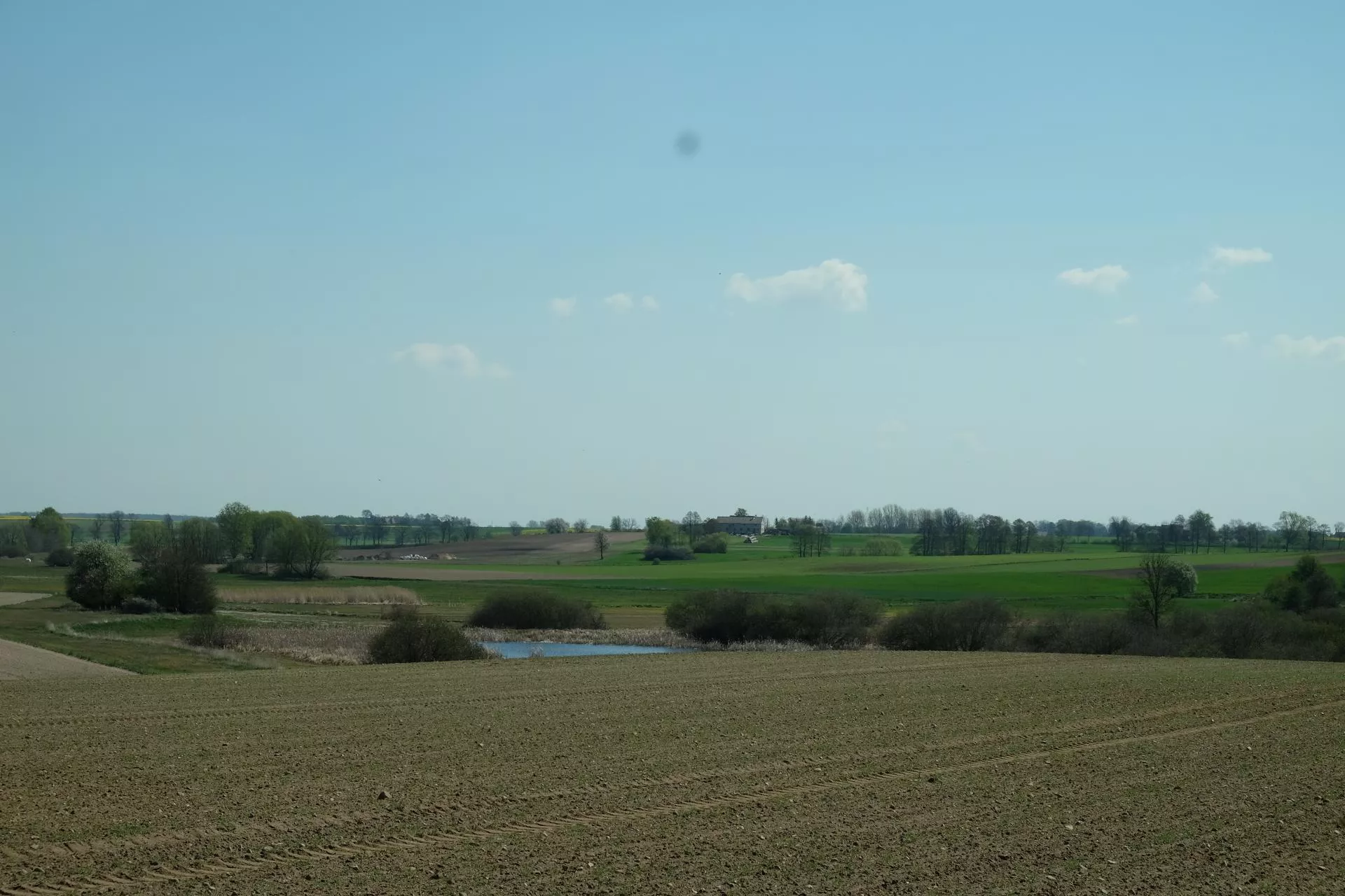 Rolnicy z Wielkopolski mają pomysł na walkę z suszą. Jaki?