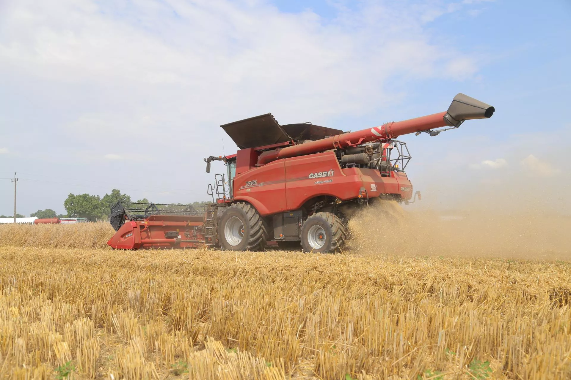 Rolnik chce kupić ziemię. Kiedy powinien zawrzeć umowę przedwstępną?