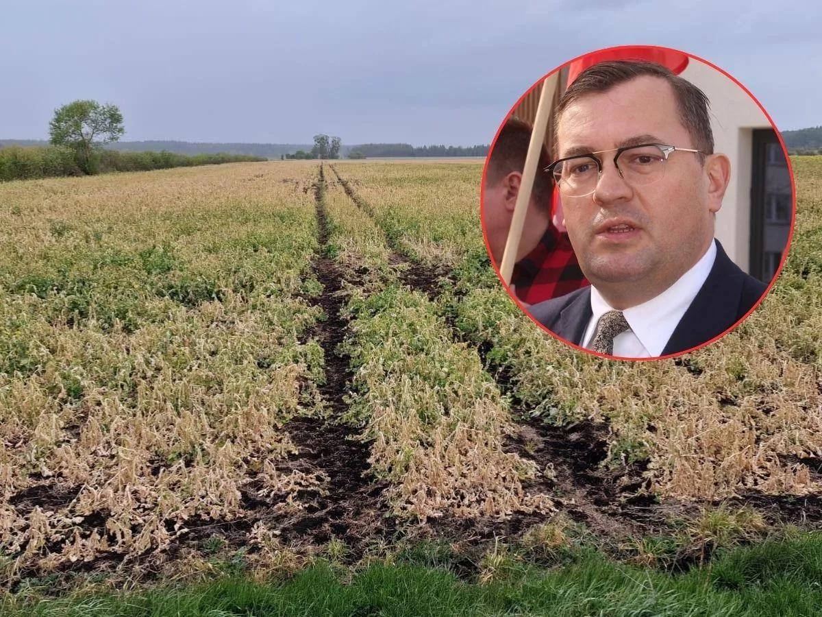 Na jaką pomoc mogą liczyć rolnicy? Wiceminister wyjaśnia