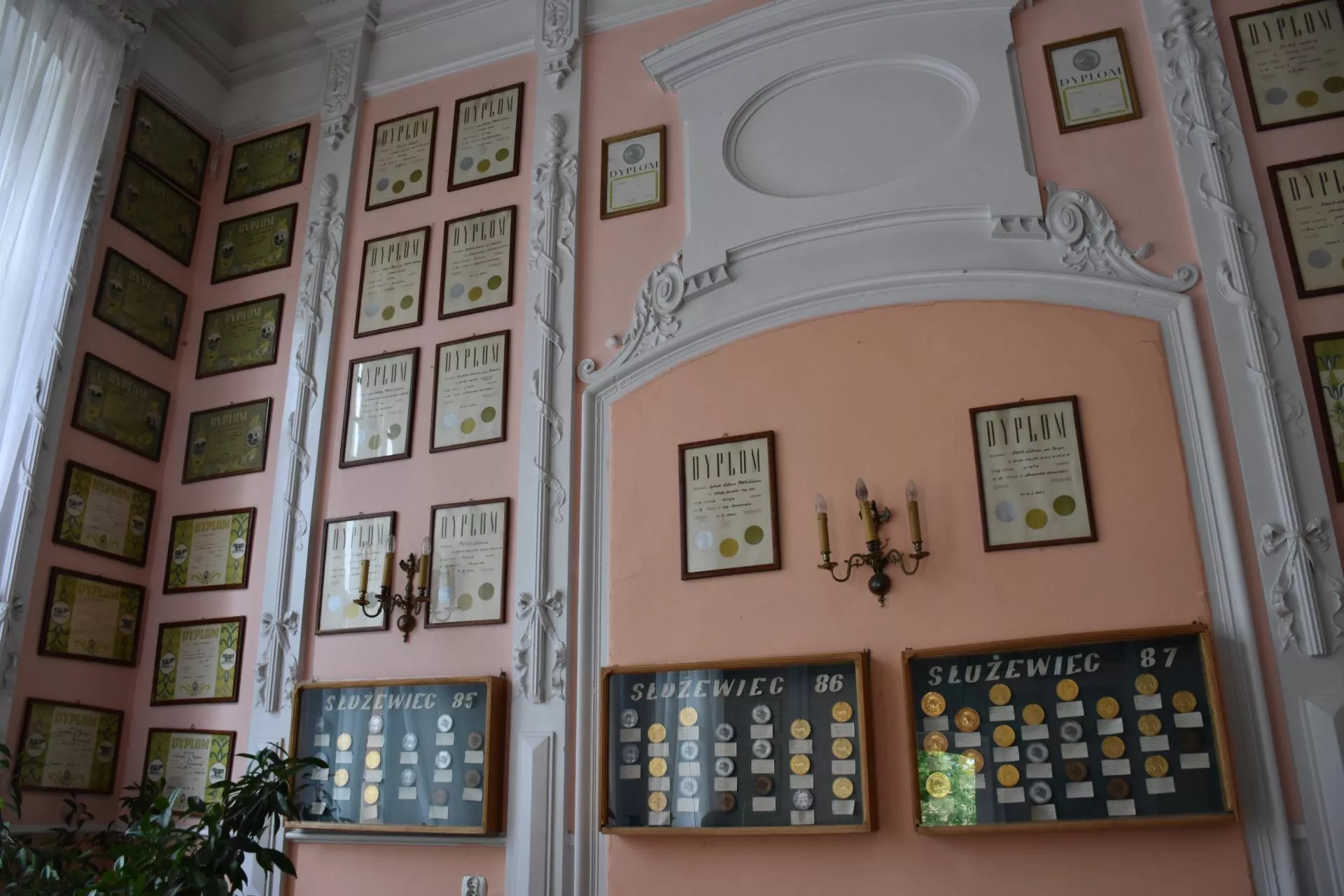 Cała ściana nagród za hodowlę bydła [ZDJĘCIE TYGODNIA]