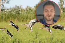 Państwo odda rolnikom pieniądze za wydziobane uprawy? Jest projekt ustawy