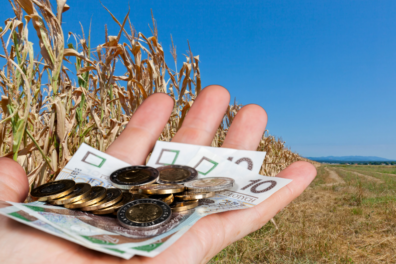 Nawet 3000 zł do hektara. ARiMR wypłaca rolnikom pieniądze