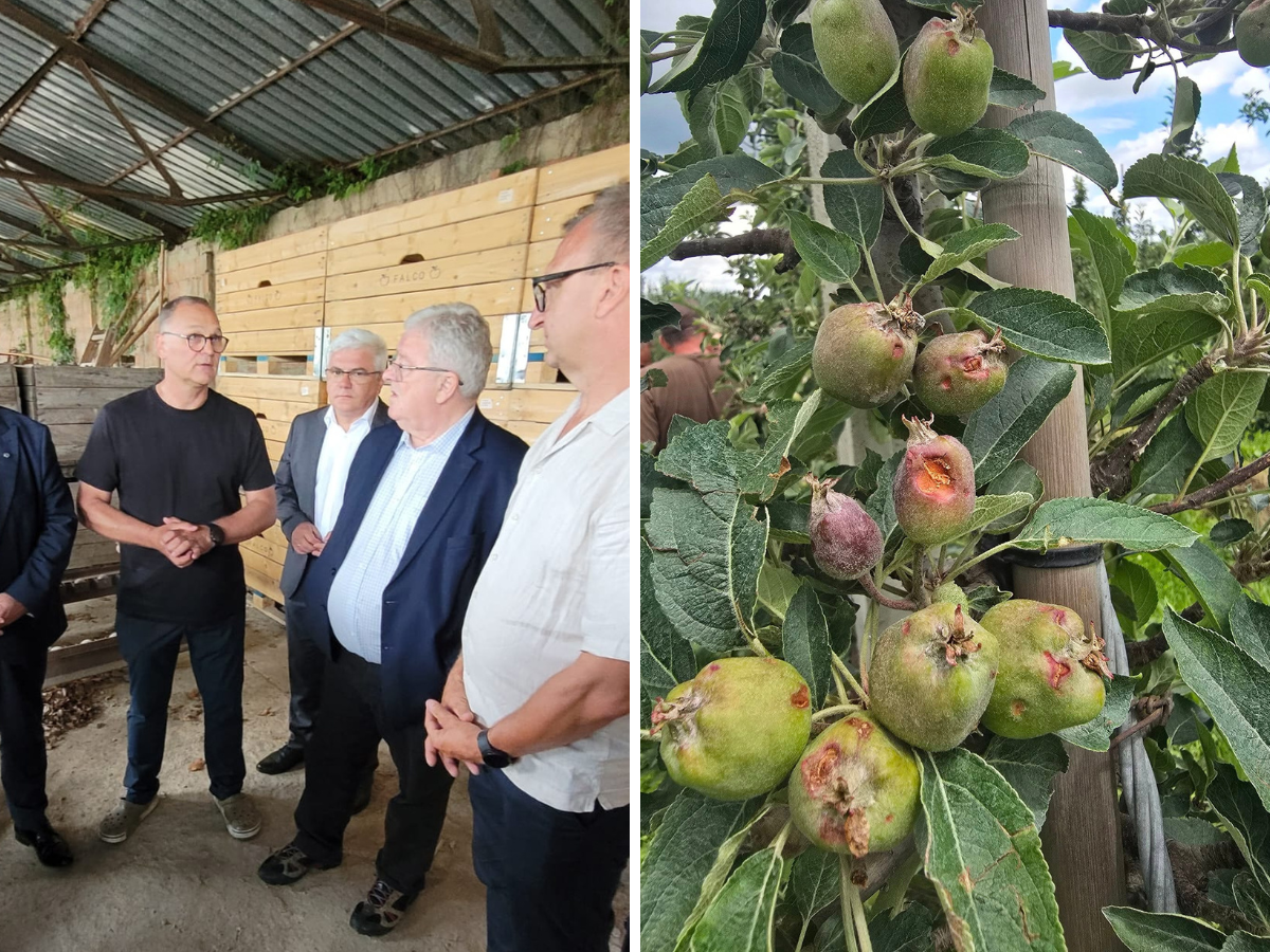 Rolnicy dostaną rekompensaty. Siekierski: walczymy o więcej pieniędzy