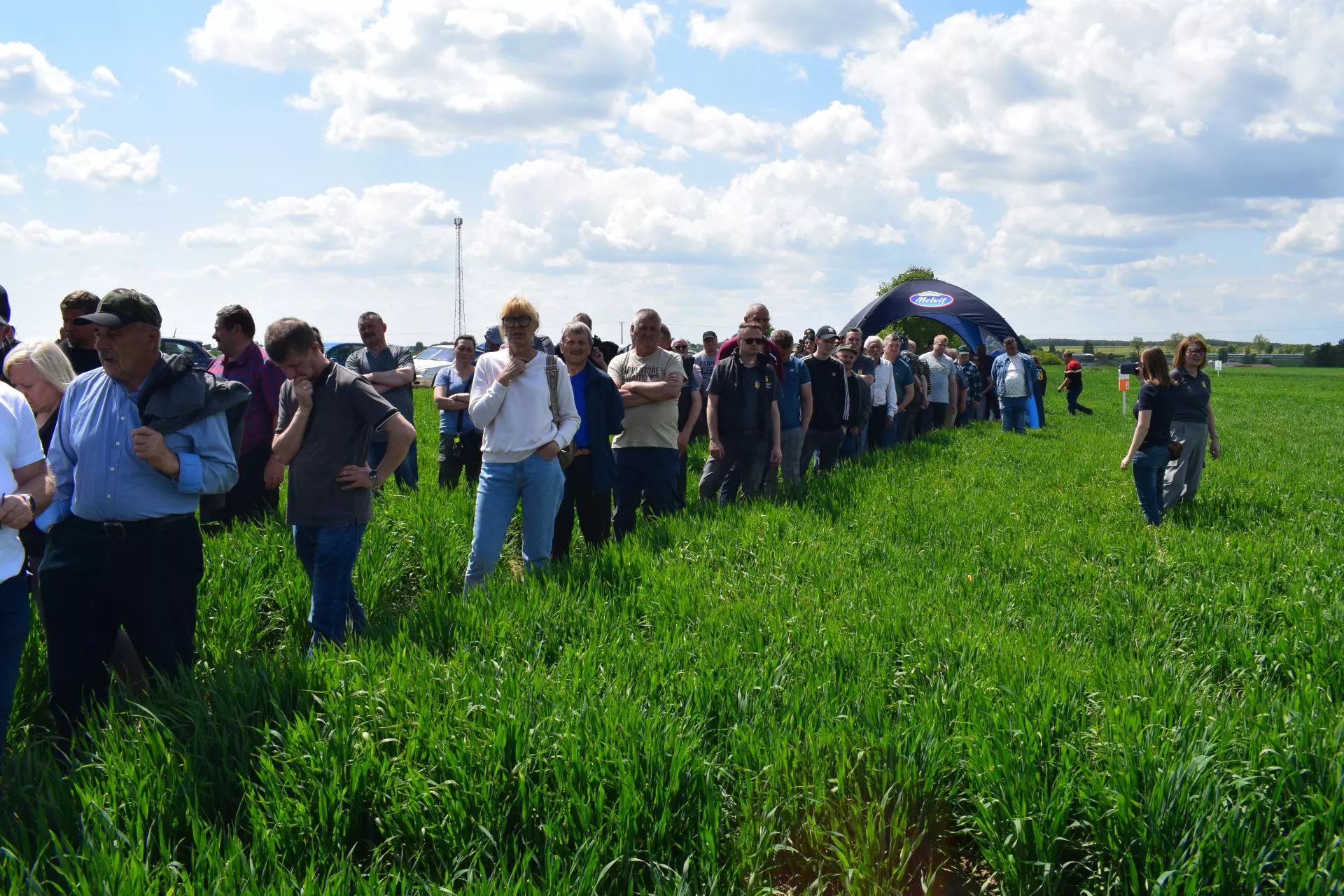 Owies ozimy wraca do łask. Jak siać i uprawiać, żeby plon był rekordowy?