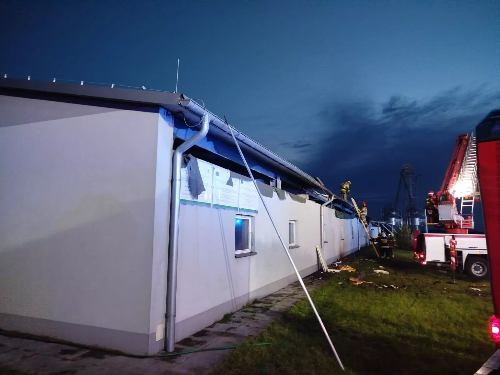 Ogromny pożar chlewni w Kierzu. Padło 200 prosiąt