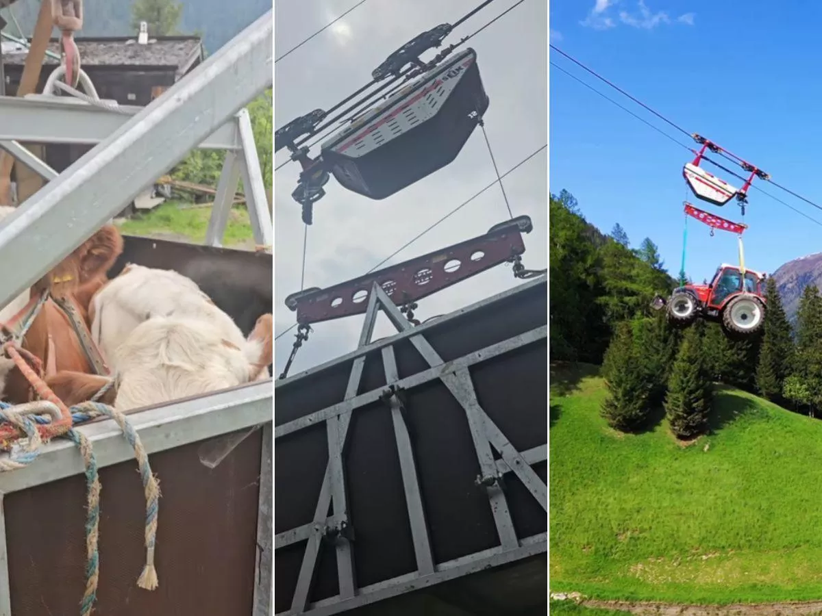 To nie żart. Rolnik wozi traktor i krowy kolejką linową