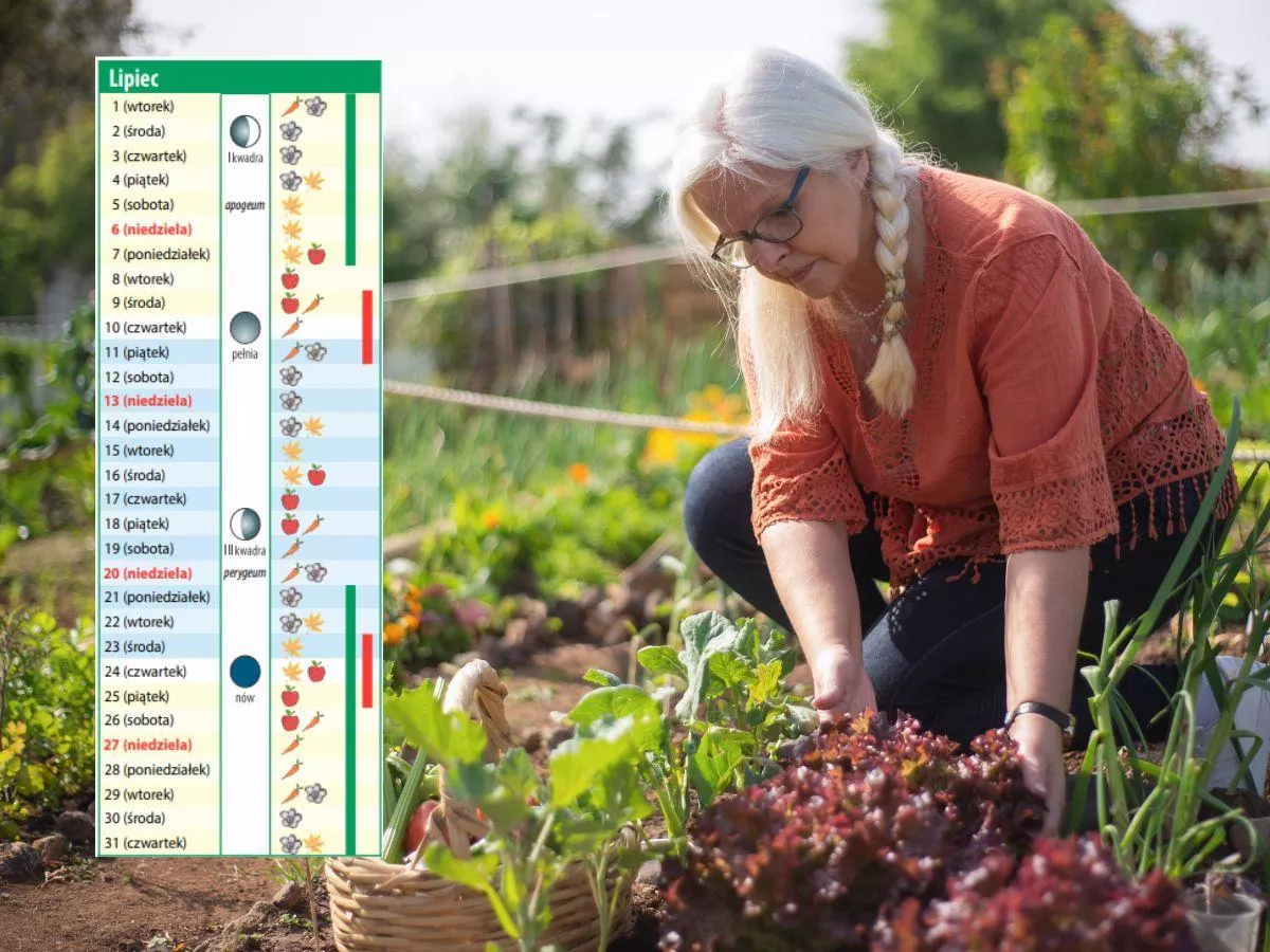 Kalendarz biodynamiczny na lipiec 2025: kiedy ciąć i pryskać?