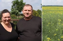 Pogoda niszczy rzepak? Rolnik z Lubelszczyzny znalazł sposób na wysokie plony