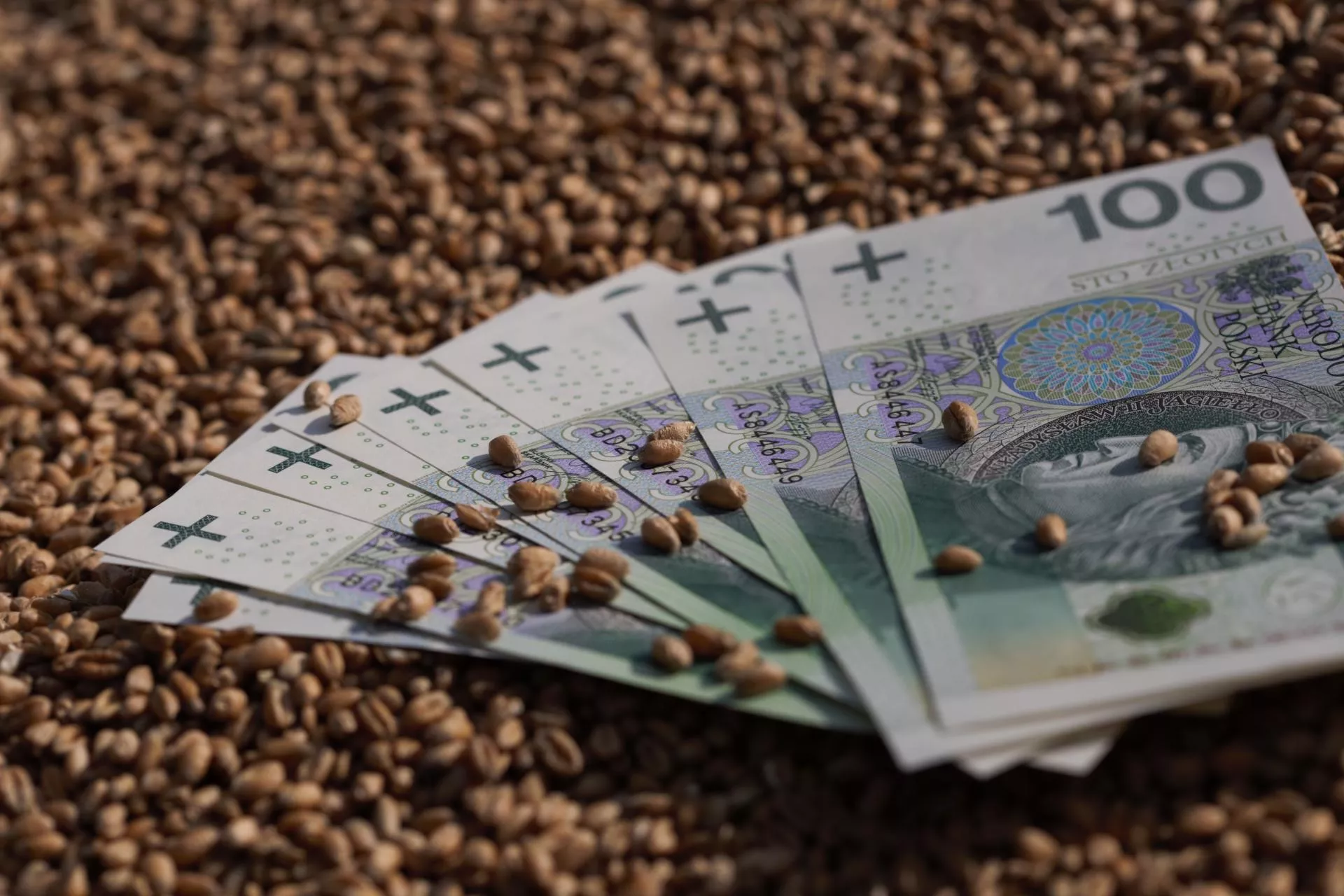 Ile pszenicy trzeba sprzedać, żeby kupić 1 ha ziemi, a ile trzeba było sprzedać 10 lat temu?