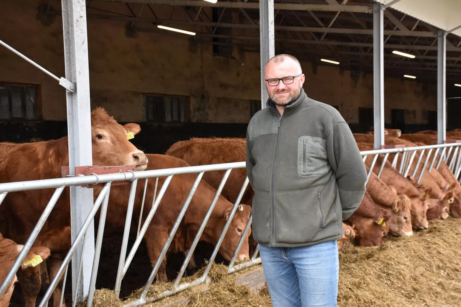400 krów mamek i brak strat cieląt. Jak rolnicy z Warmii osiągnęli taki wynik? [WIDEO]