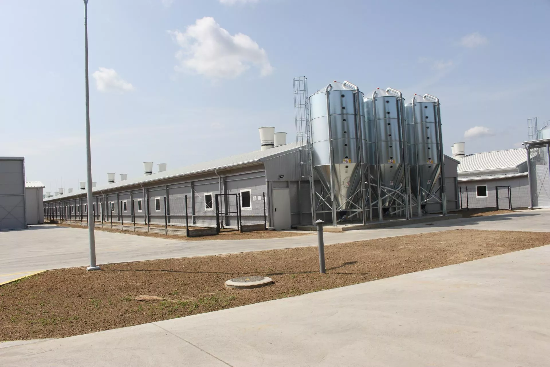 Kiedyś PGR, dziś superferma. Co tydzień wyjedzie stąd 4000 prosiąt