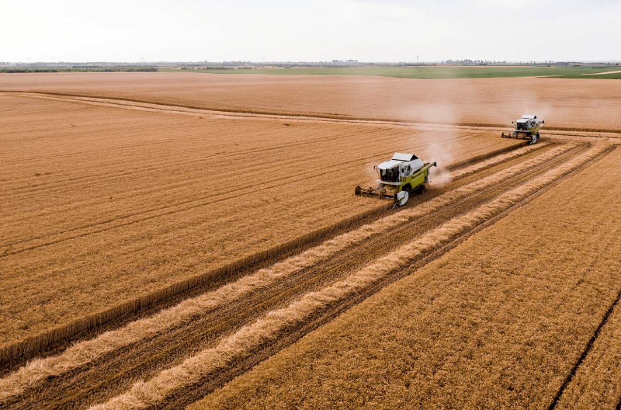 Kiedy poddzierżawa grozi wypowiedzeniem dzierżawy?