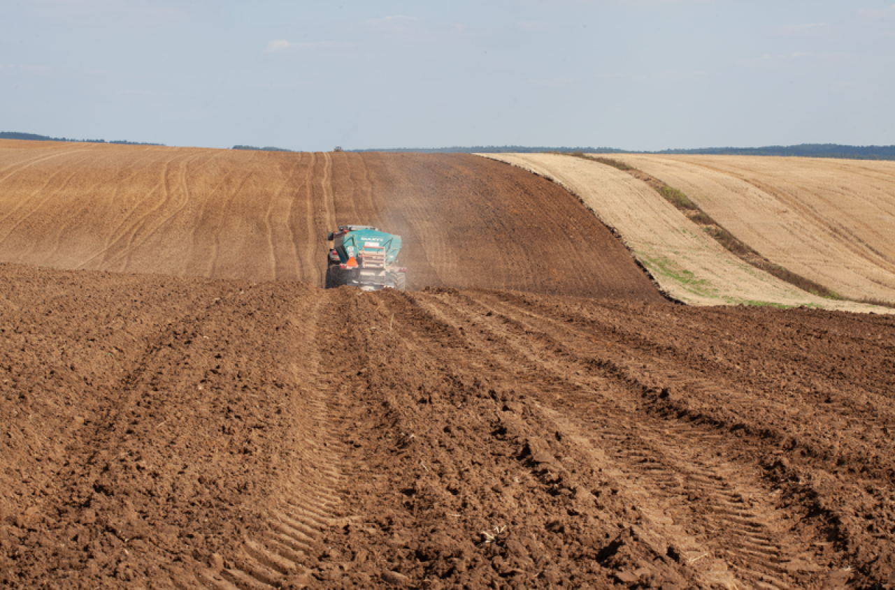 Wapń, magnez, potas. Nieodpowiedni stosunek i plony spadają