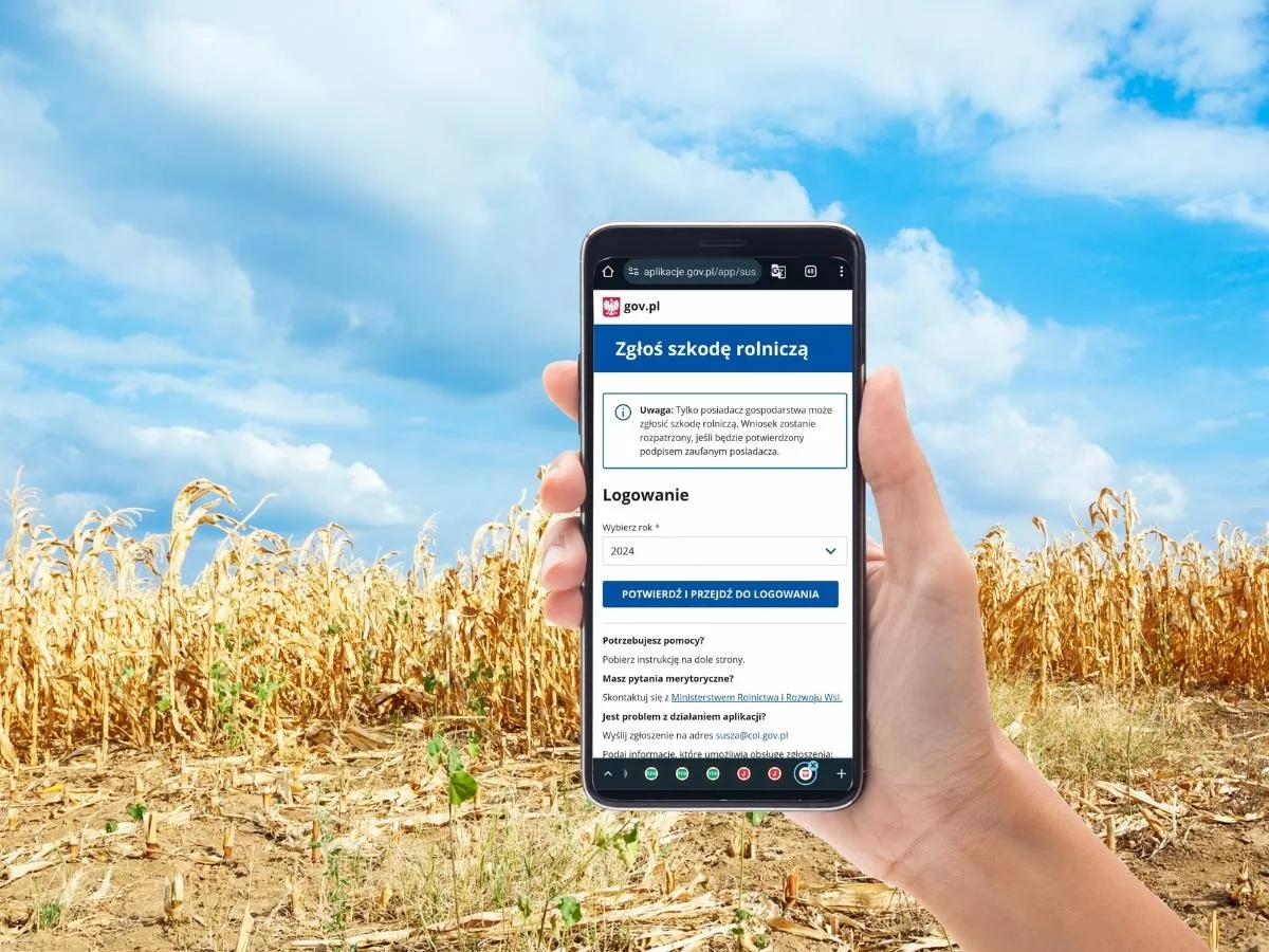 Jak aplikacja suszowa liczy straty? Czy rolnicy dostaną uczciwe odszkodowania?