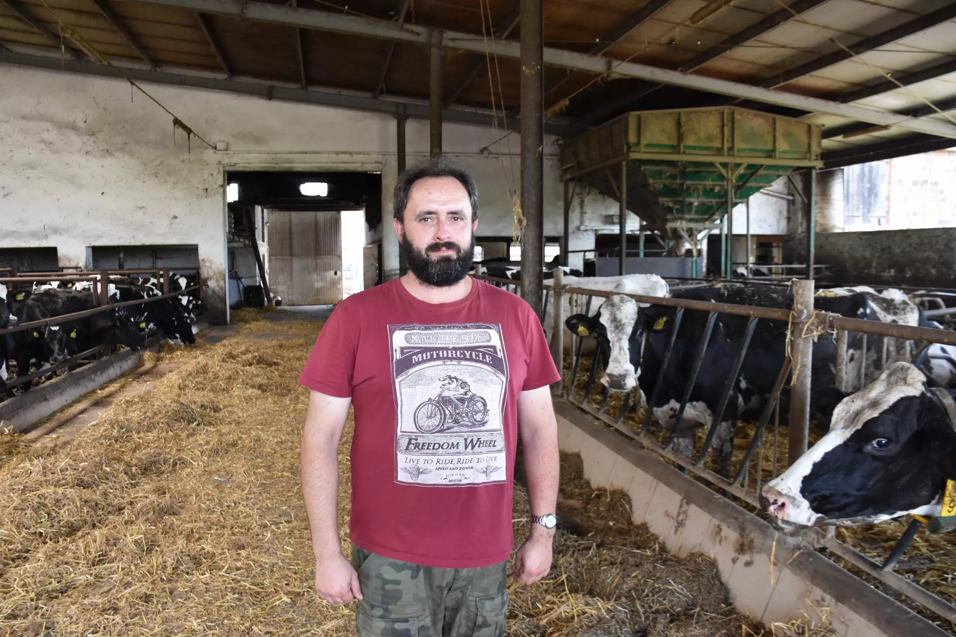 Ma tylko 30 ha na 120 sztuk bydła. A doi więcej mleka niż duży hodowca