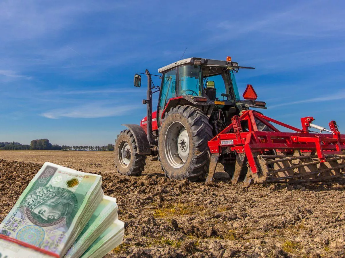 KOWR w Olsztynie sprzeda ponad 130 ha ziemi. Za ile?