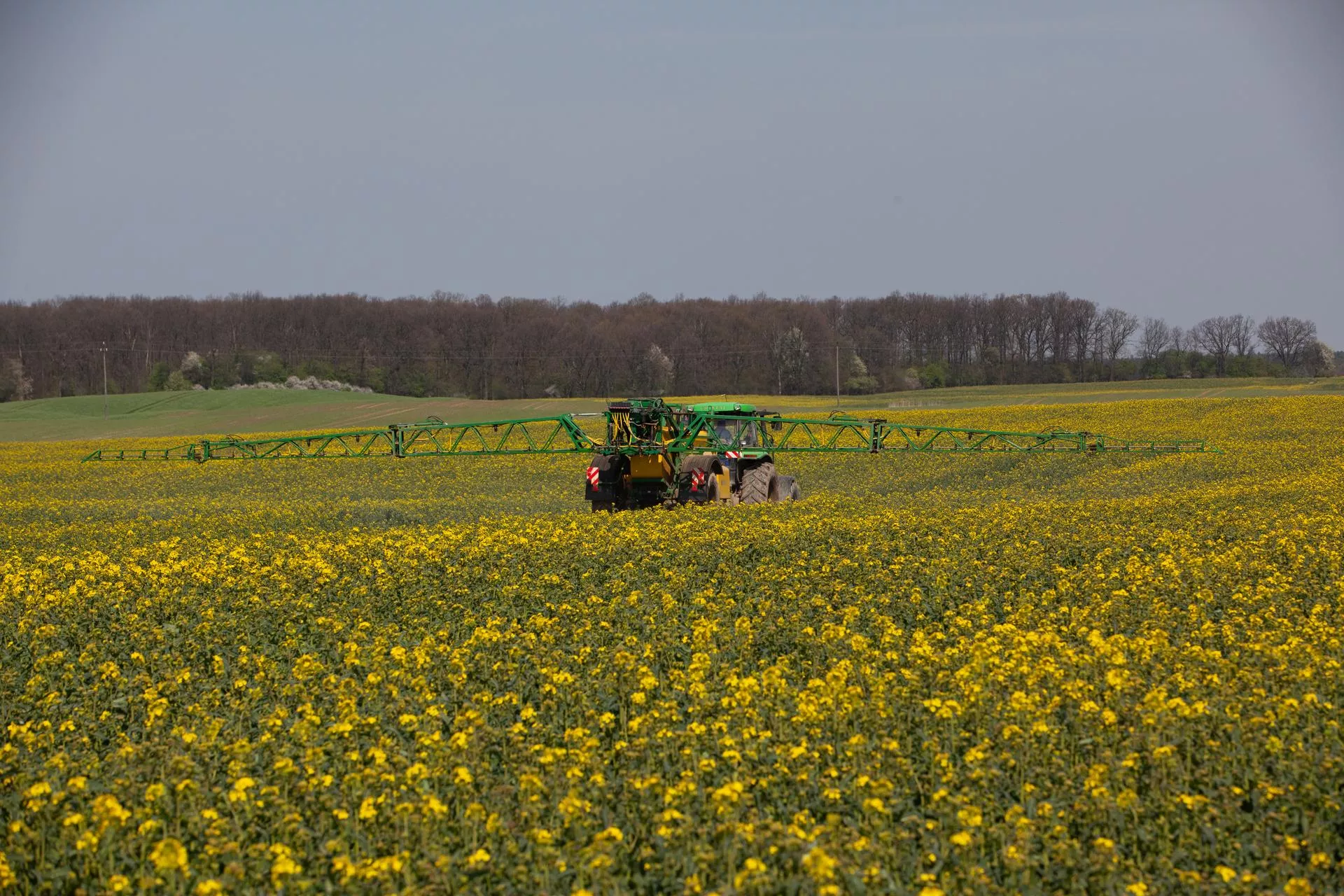 Pierwszy taki fungicyd na świecie. Teraz dostępny dla wszystkich rolnika