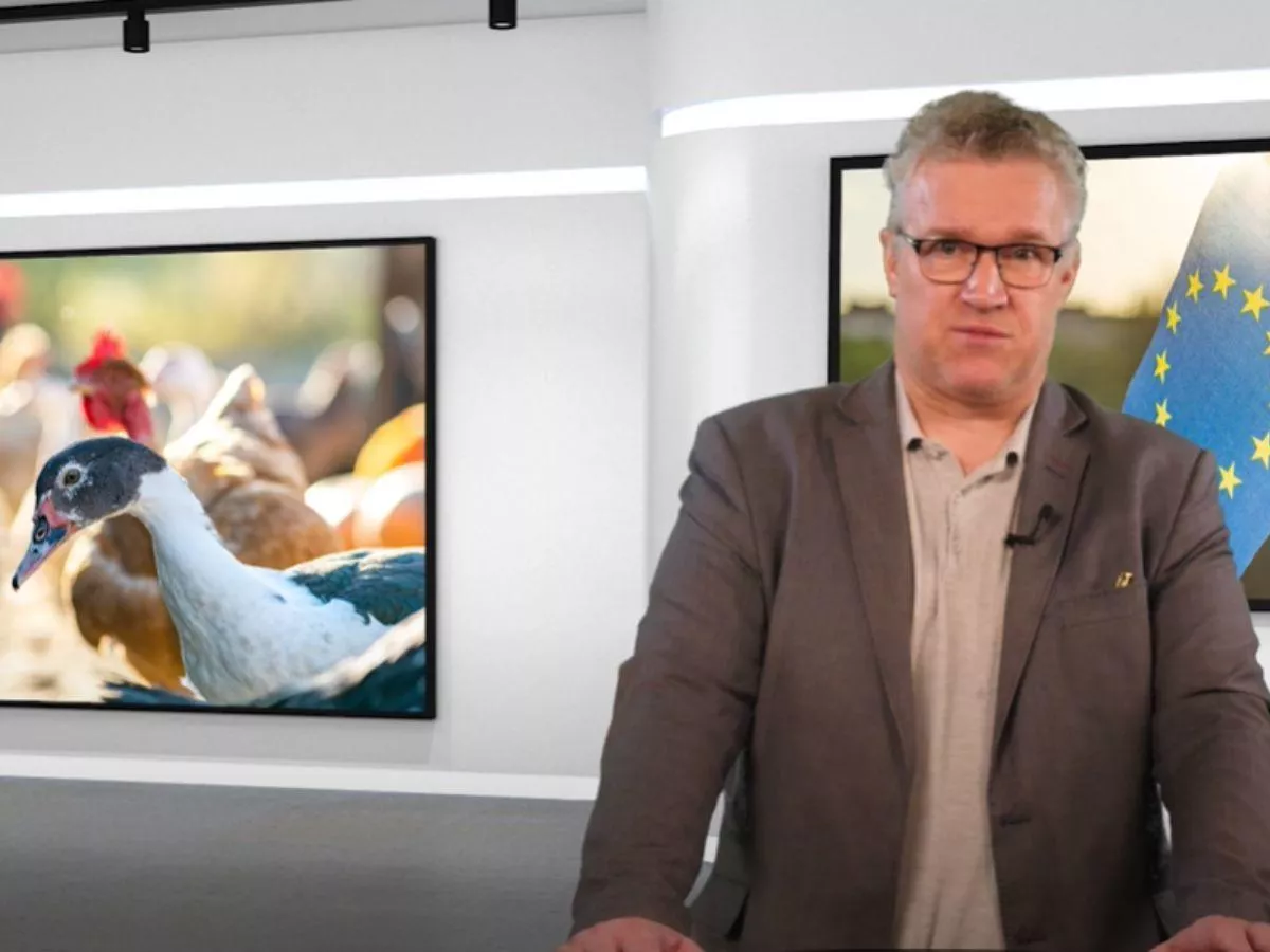 Generał ostrzega: pasza i nawozy będą, ale nikt ich nie dowiezie