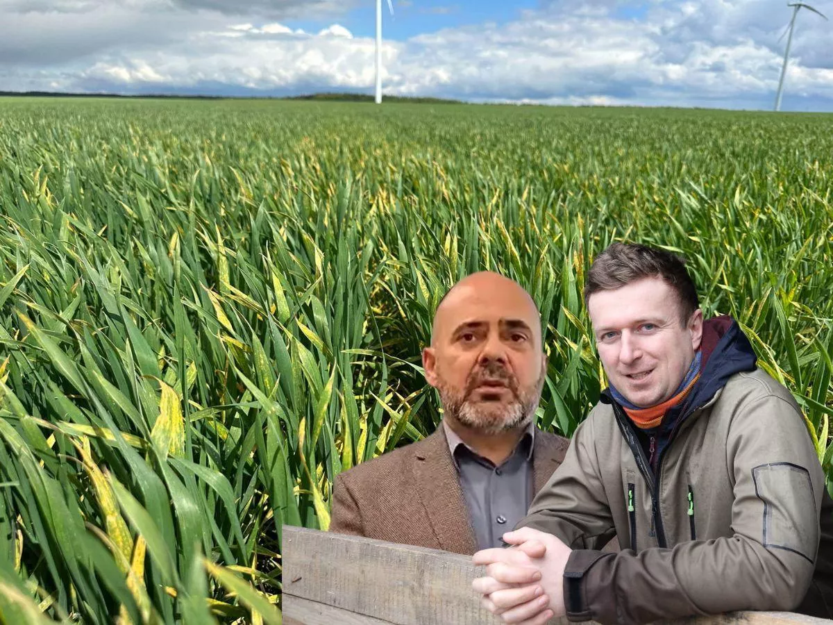 Rzepak zniszczony, firmy liczą po swojemu. Rolnicy przechodzą do działania [WIDEO]