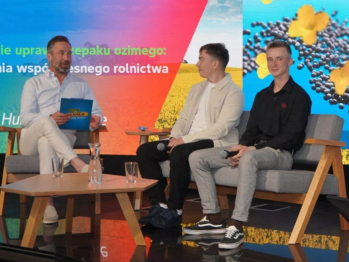 5 ton z hektara bez orki. Młodzi rolnicy mówią, jak to robią w rzepaku