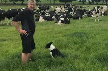 Jim Baird utrzymuje 234 krowy, które dają średnio 8400 kg mleka w laktacji
