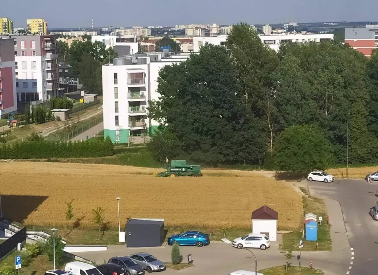 Ostatni rolnik z Lublina sprzedaje ziemię. Cena zwala z nóg