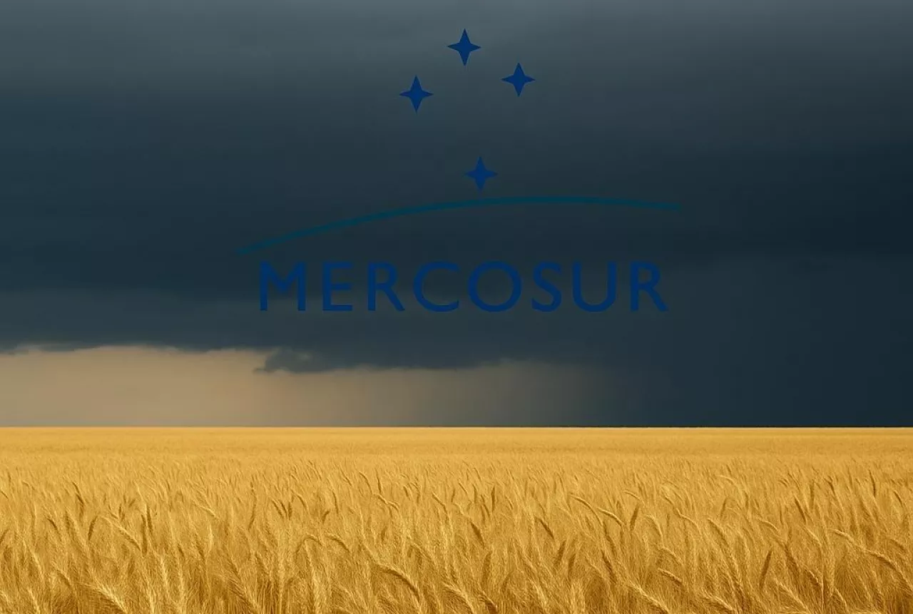 Zdjęcie przedstawia złote pole dojrzałego zboża pod rozległym niebem, nad którym na horyzoncie gromadzą się ciemne burzowe chmury. W tle widoczny symbol Mercosur. Obraz symbolizuje napięcie wokół planowanej umowy handlowej UE–Mercosur i jej możliwy wpływ na europejskie rolnictwo.