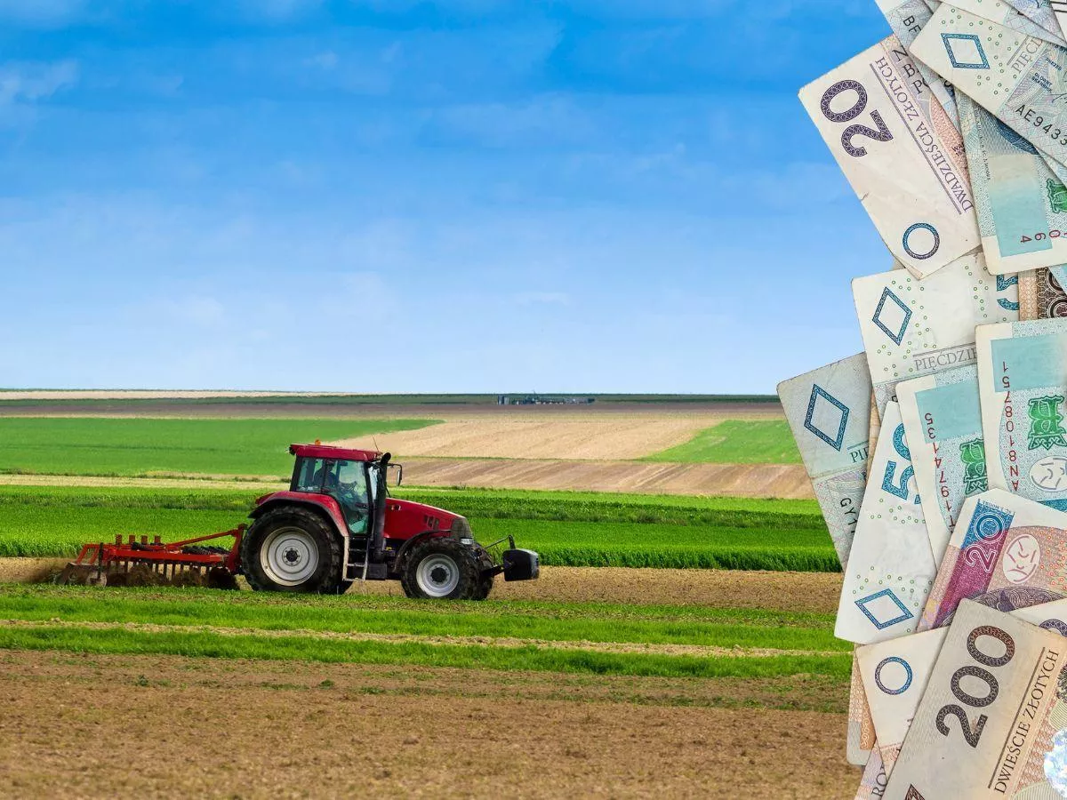 Rekordowa dzierżawa ziemi w 2025 r. Ile gruntów wydzierżawi rolnikom KOWR? Jaki czynsz?