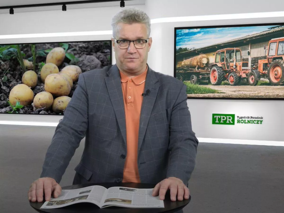 W Rosji brakło ziemniaków, Putin woła o pomoc. Videoblog Naczelnego