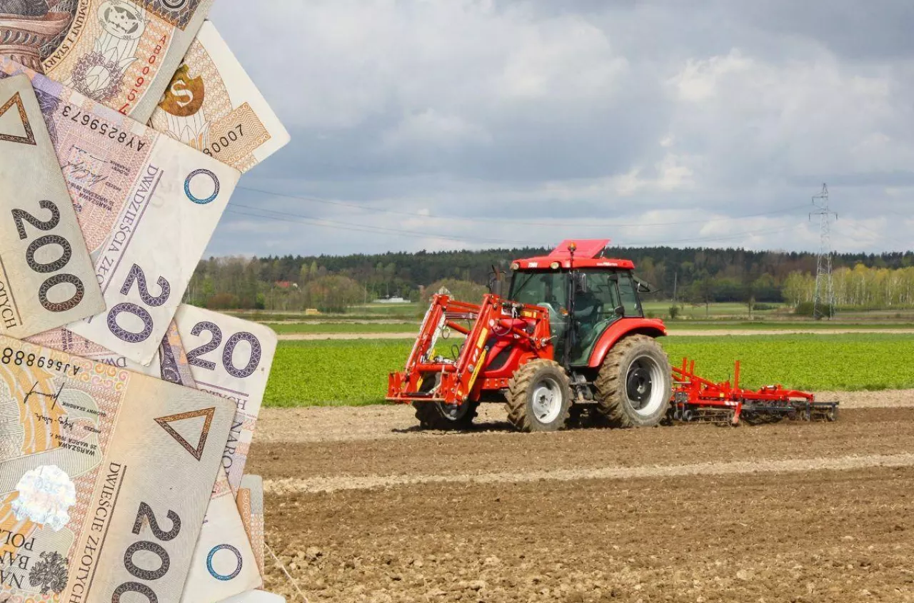 Ceny ziemi w Polsce 2025: ile kosztuje hektar gruntów rolnych V i VI klasy?