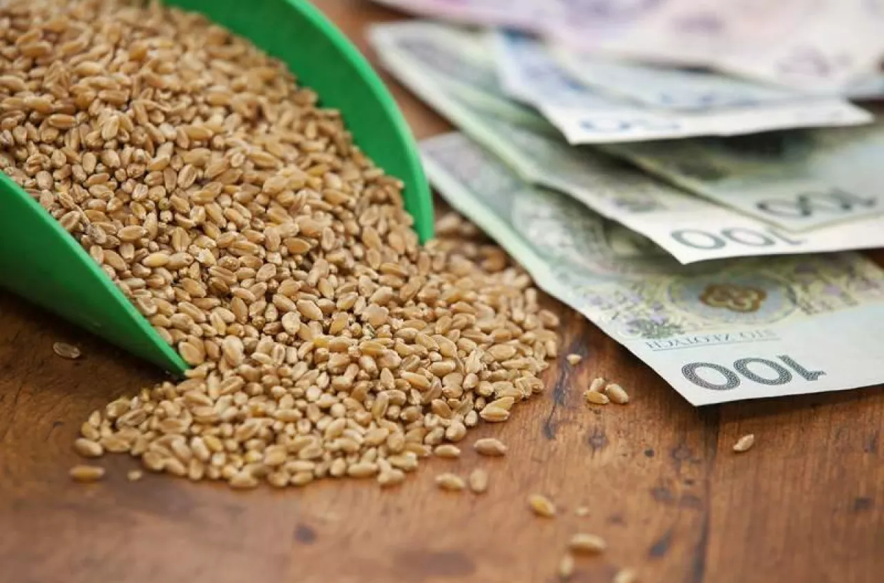 Dopłaty do zbóż, strączkowych i ziemniaków: Tysiąc rolników już z przelewem z ARiMR