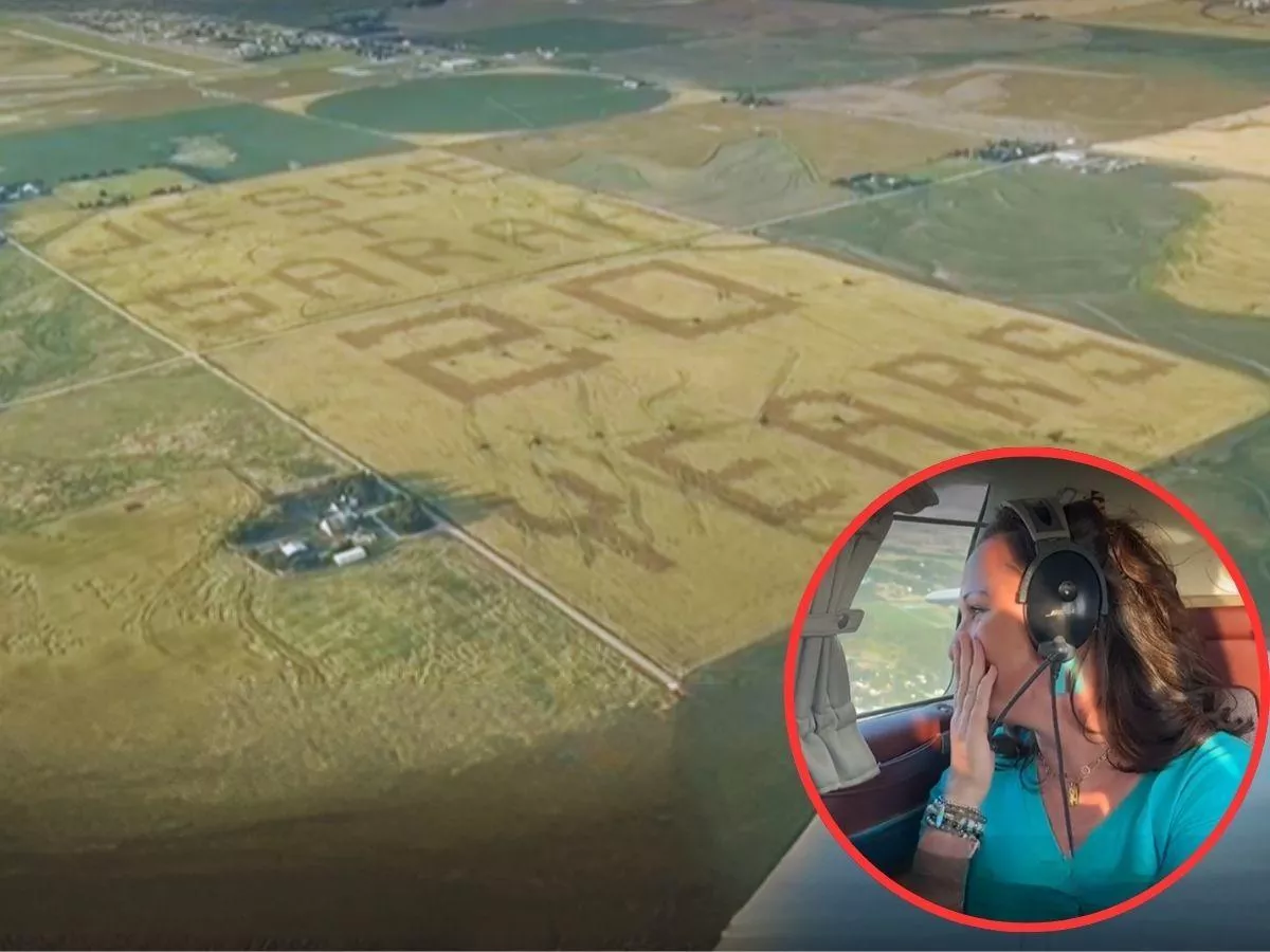 Rolnik zrobił żonie niesamowity prezent. Potajemnie wysiał na polu gigantyczny napis