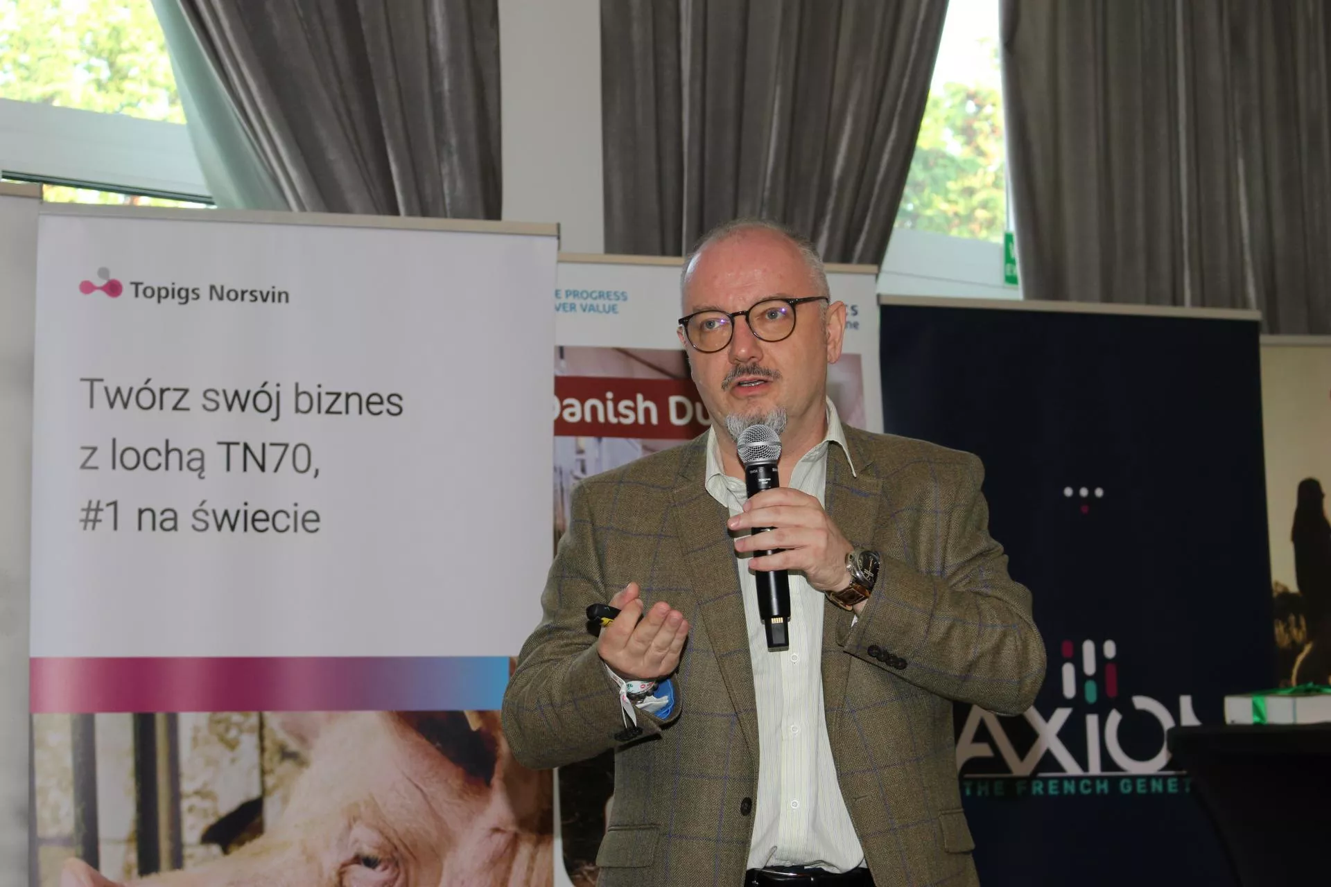 Tańsze pasze, lepsze wyniki. Jak tuczyć świnie z głową?