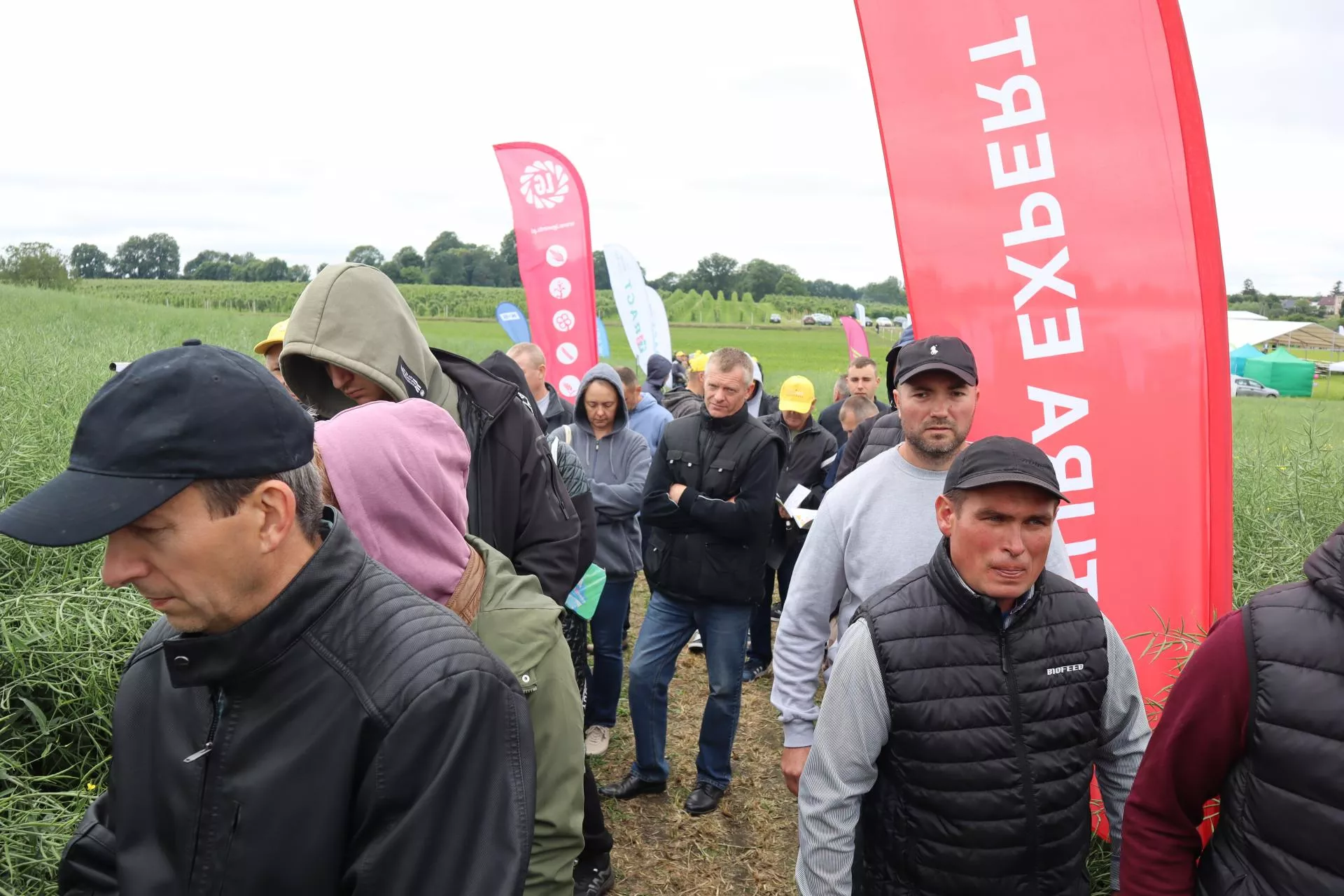 Rzepak, co ucieka przed pchełką i pszenica z 4 pędami. Nowości zaskoczyły rolników