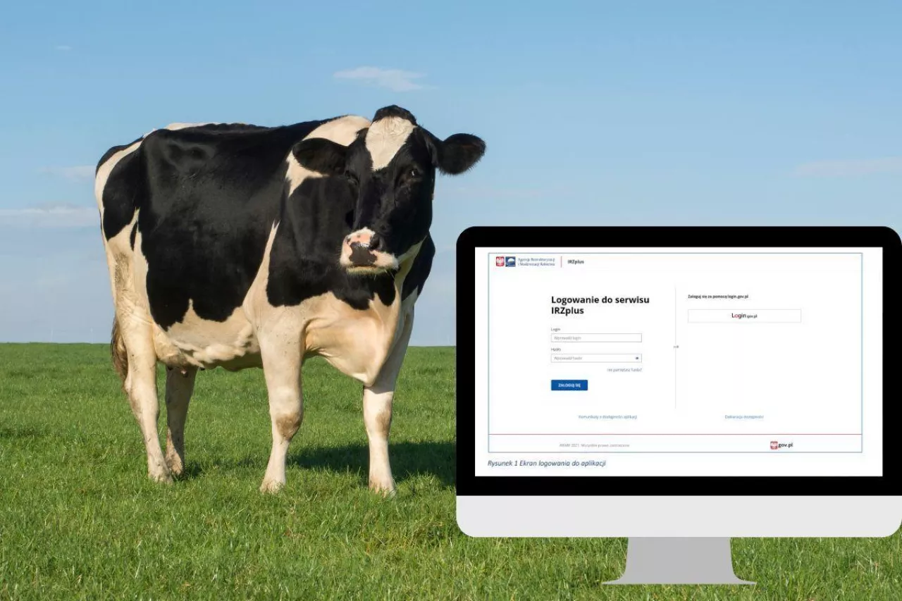 Rolnik musi zgłaszać dwa razy to samo. ”Nonsens i fikcja obiegu papierków”