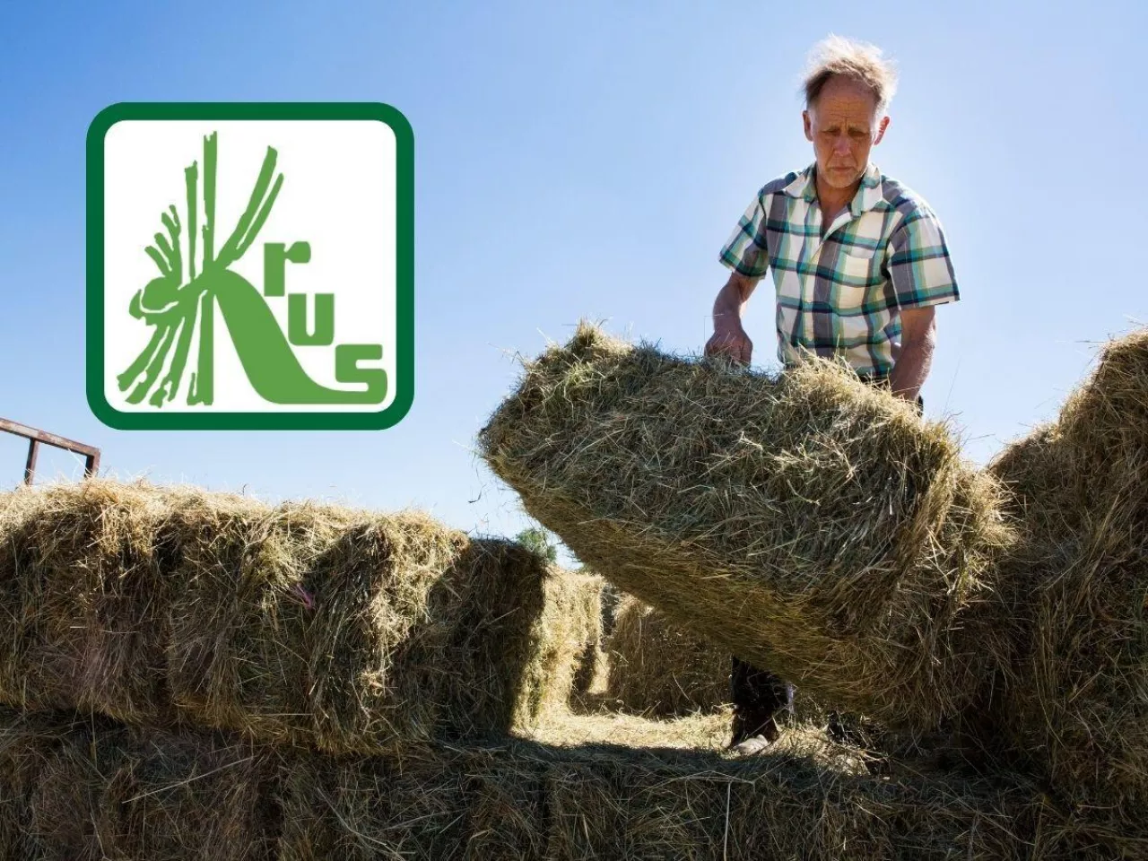 Emerytura rolnika KRUS? Dwa razy niższa niż z ZUS