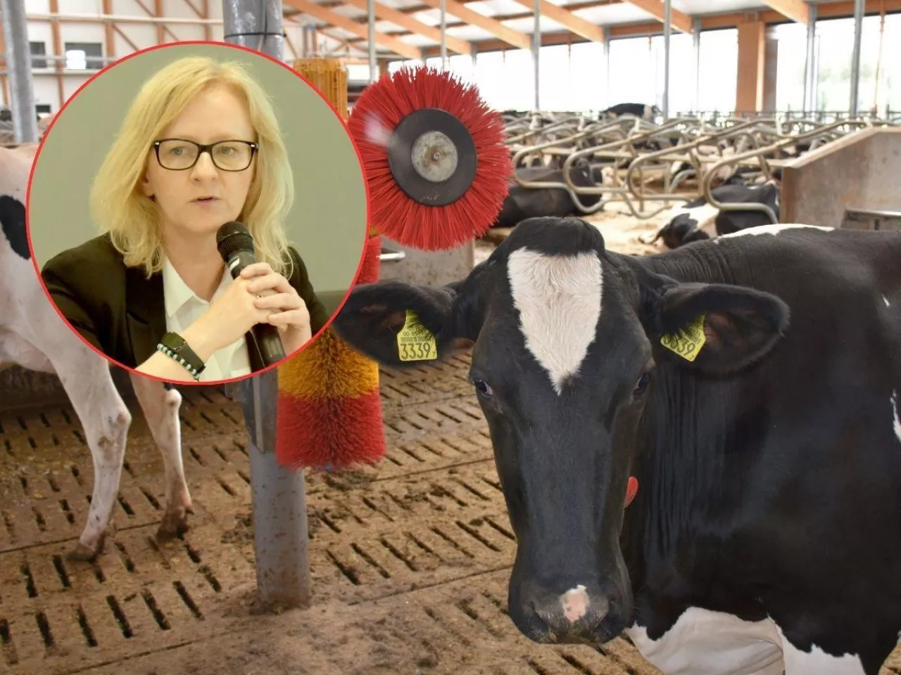 Jolanta Duchnik, dyrektor Departamentu Działań Inwestycyjnych ARiMR mówiła o nowym programie ARiMR