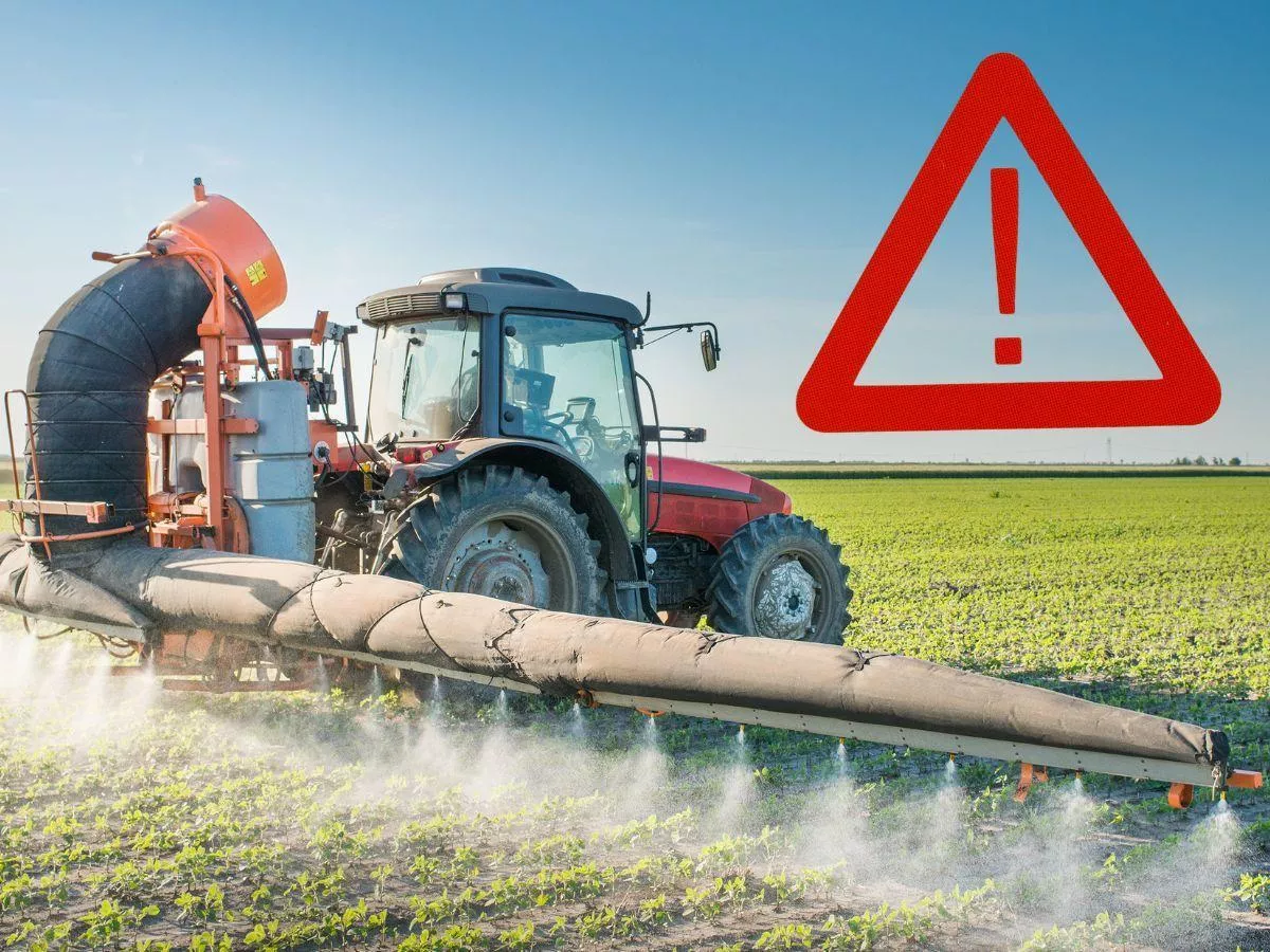 Plony mogą spaść o 50 proc. A Bruksela zwleka z decyzją