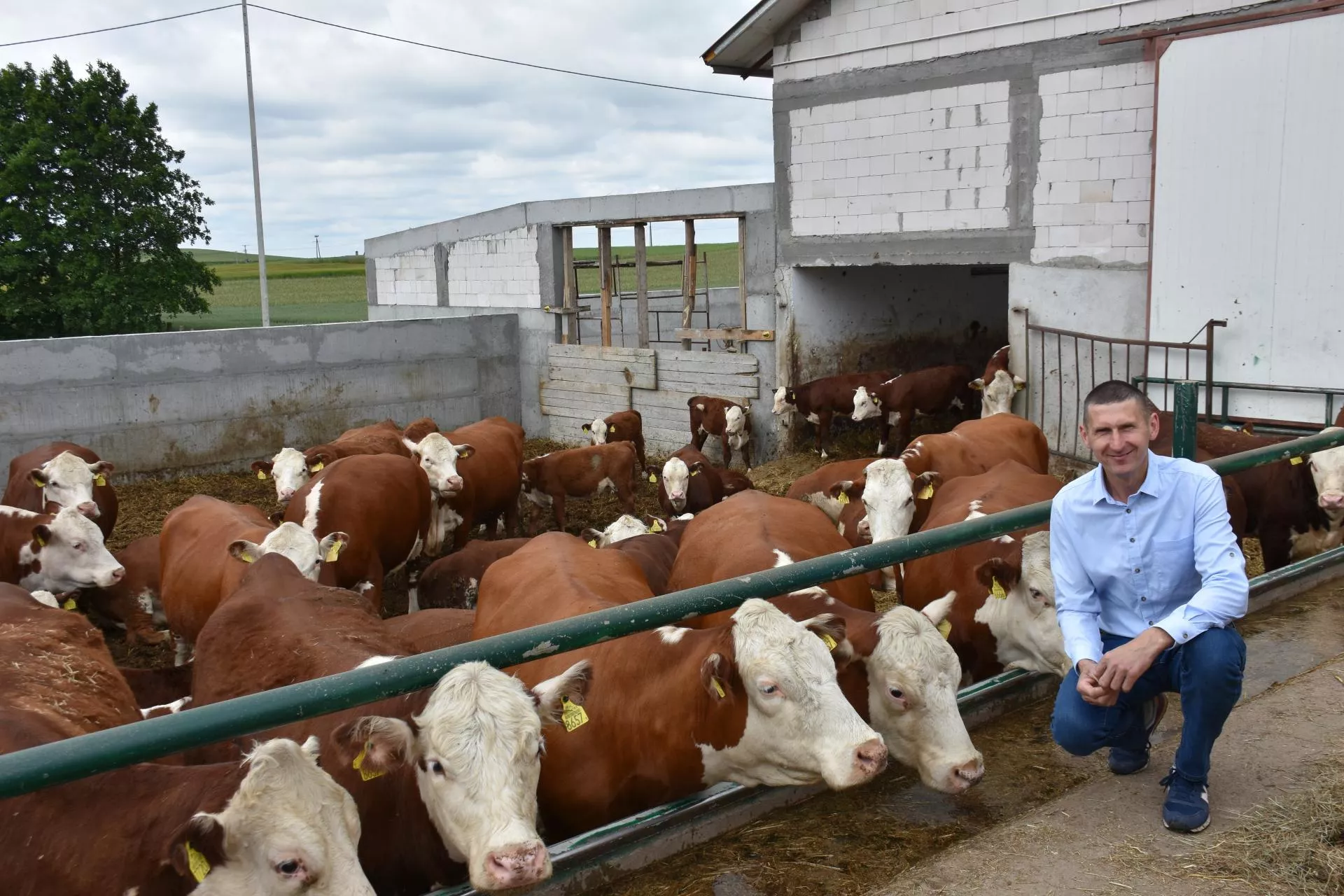 Rolnicy z Mazur zaczynali od 2 jałówek. Dziś ich wołowina bez pośrednika to hit