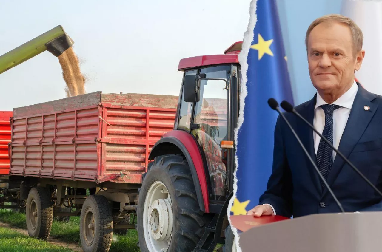 "Ratuj dopłaty". Rolnicy łączą siły i apelują do Tuska