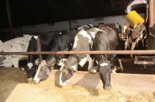 UE luzuje śrubę rolnikom. Ale emisji nie odpuści