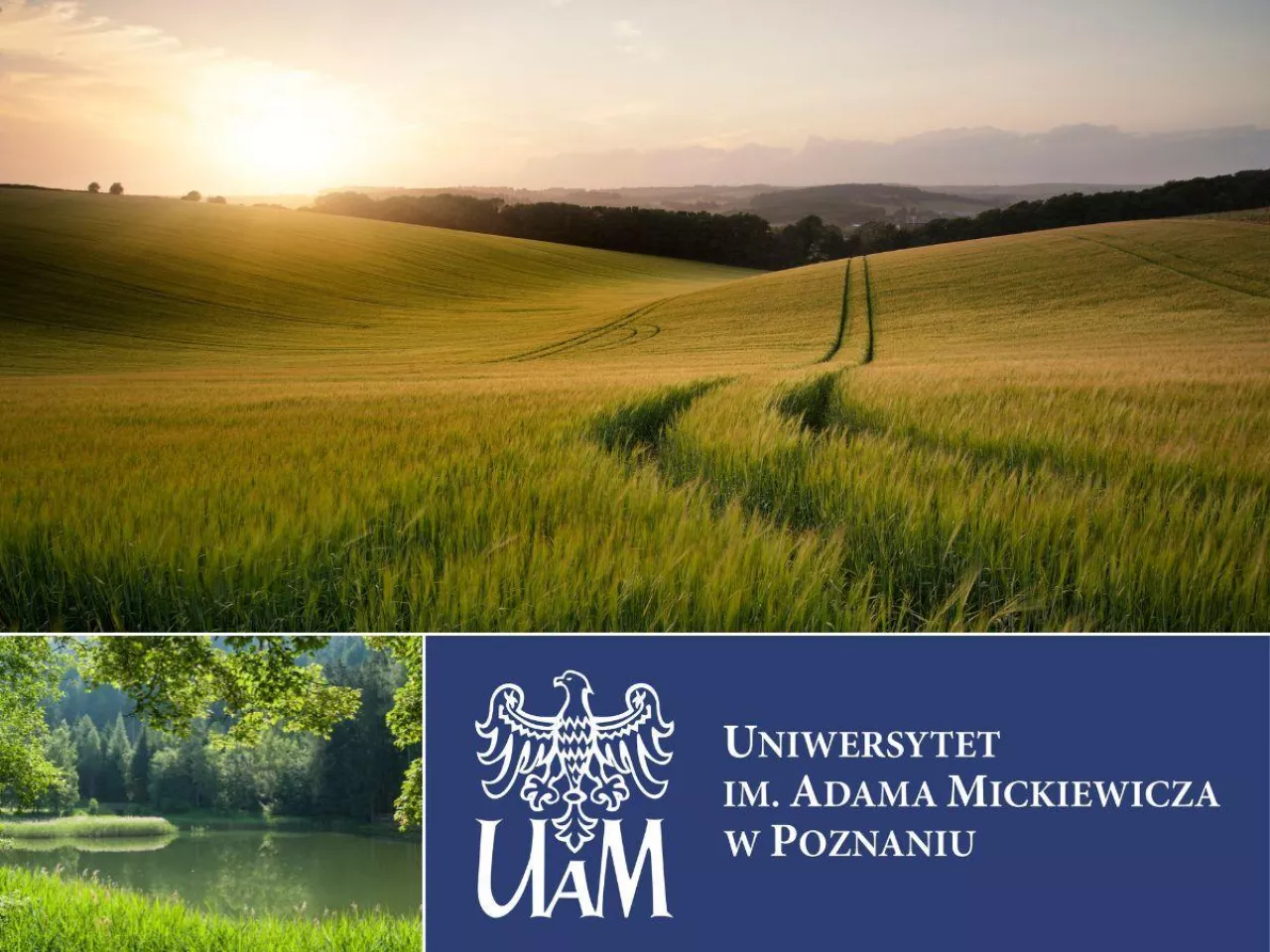 ”Przeciwdziałanie oraz adaptacja do zmian klimatu oraz wpływ skutków zmian klimatu na środowisko, społeczeństwo i gospodarkę - ujęcie interdyscyplinarne”