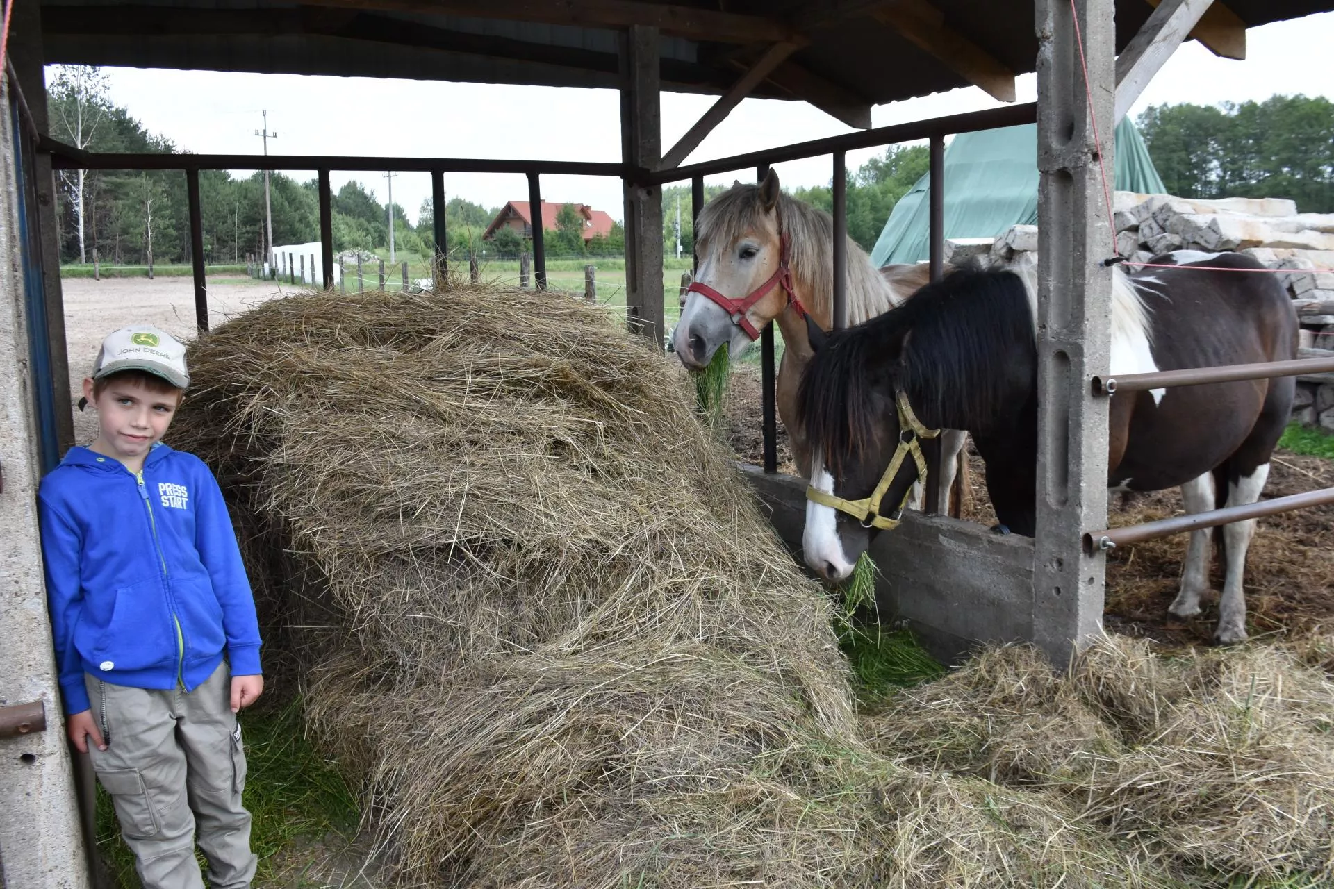 Tu rządzą mleko i konie. Wszystkiego pilnuje Staś